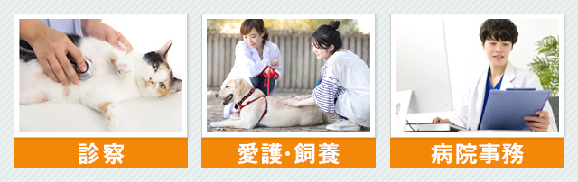 愛玩動物看護師はどんな仕事？